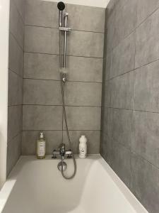 Appartements Atmosphere Cosy de 50m2 : photos des chambres