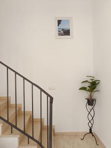 Vera Natura Apartamento Esperanza