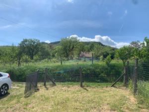 Csipkeház Kisapáti