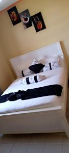 Floral BnB accommodation