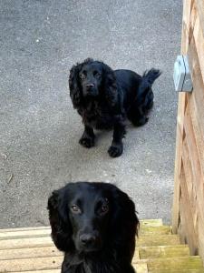 The Loft at Tanglewood