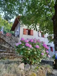 StradaFacendo B&B - Fontanarossa