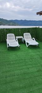 Apartament Edy