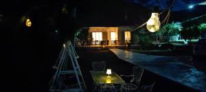 Palm tree house by the beach