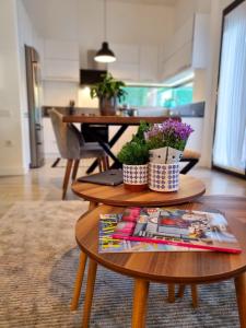 Suelo Flat Villa