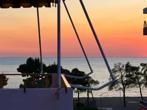 Sunset Serenity - Sakës