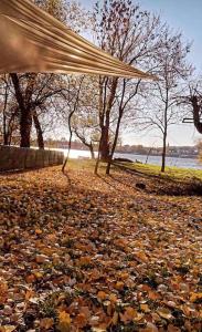 Cross Over Zemun