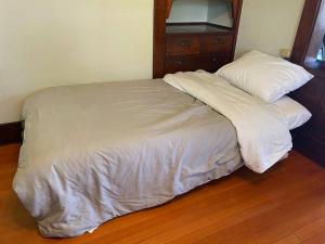 Historic Downtown Flat, # 2