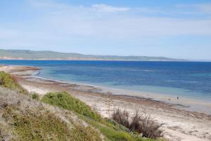The ReTrO Beach Shack