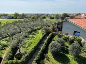 Apartments with parking space Galizana, Fazana - 22977