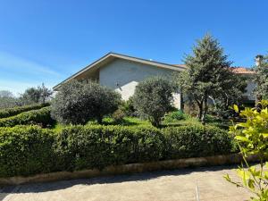 Apartments with parking space Galizana, Fazana - 22977