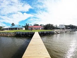 Dolphin Watch for Lasting Memories - Edith Hammock