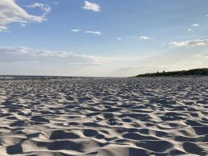 Timber Cottage with Rustic Charm