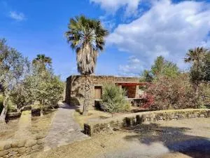 Dammusino Bukkuram - Sibà