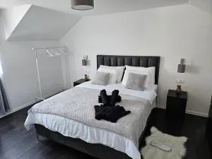 Rodjaci sa sela - Stojnik