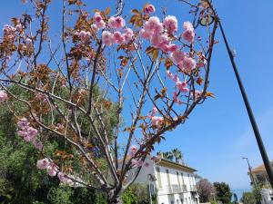 Appartements Beauty : photos des chambres