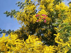 Appartements Beauty : photos des chambres