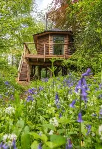 Unique Secluded Romantic Treehouse in Cornwall, sleeps 2 - 莫瓦尔 Unique Secluded Romantic Treehouse in Cornwall, sleeps 2 - 莫瓦尔