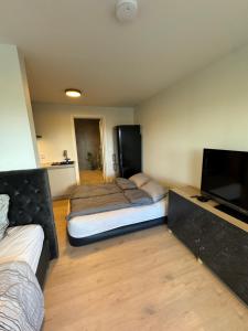 Ny og moderne studio leilighet !