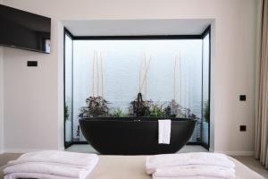 Ashta Suites Color Block