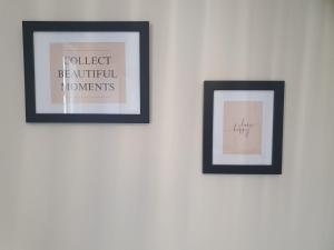 Para-dise-lio Studios