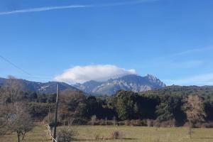 Appartements A Pieve : photos des chambres