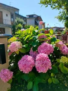 Casa ANNA - Montevarchi