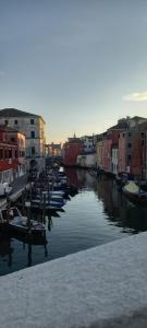 CasAle
