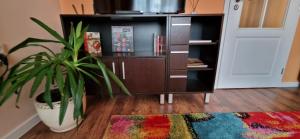 Sweet Home Apartment