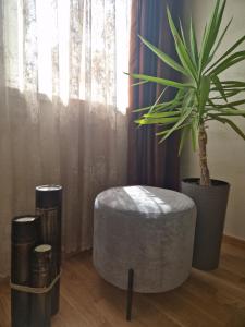 Apartmani Djuric Grey
