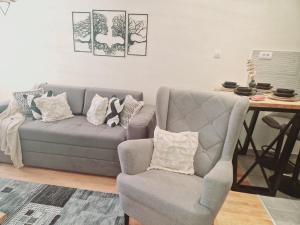 Apartmani Djuric Grey