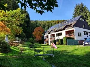 Elpe Apartments Hochsauerland - Wasserfall