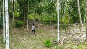 River Land Camping, Trekking and Boating Cherupuzha - Peringom