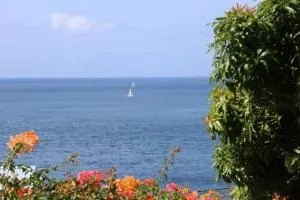 34 ° soley. - Case-Pilote