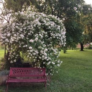 Maisons de vacances Le Gite de Mamou : espace et calme : photos des chambres