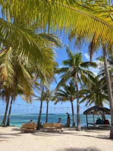 Anugerah Surf & Dive