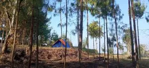 Everest Home Stay Apartment II Timal Kalimati Tower - Rāmechhāp