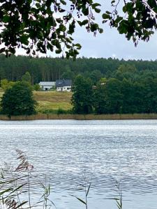 Ferienhaus Seeblick