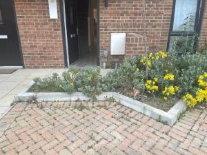 Serene Stay Sanctuary