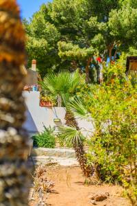 SanVitoTour- Residence Il Baglio