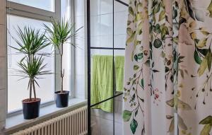 Pet Friendly Apartment In Kühlungsborn