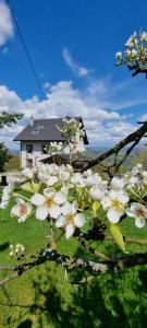 Swoboda na szczycie góry