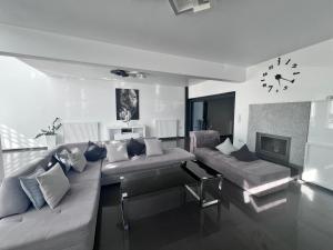 Olivujoj Villajoj - Deluxe Villa with Detached Pool House