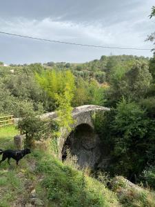 Appartements Appartment Reynes rando, nature & relaxation ! : photos des chambres