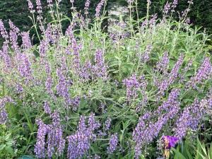 Guest house Maison dinvités