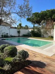 L'avocette blanche - آر أو رْ