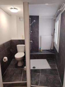 Appartements Apppartement dans maison avec terrasse plein sud , Netflix, parking et fibre : photos des chambres