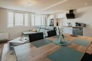 Appartement T3 Hyper centre Saumur - Distré