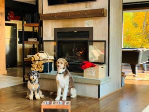 The Big Jack Chalet 33 Chemin Blanc by Les Chalets Alpins