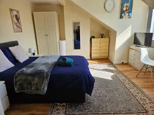 Homely double bed, TV, Wi-Fi and garden - Central Station